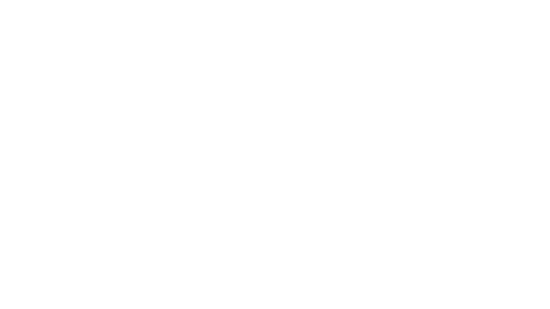 MS STANDARD